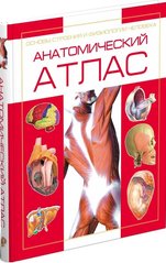 Анатомічний атлас